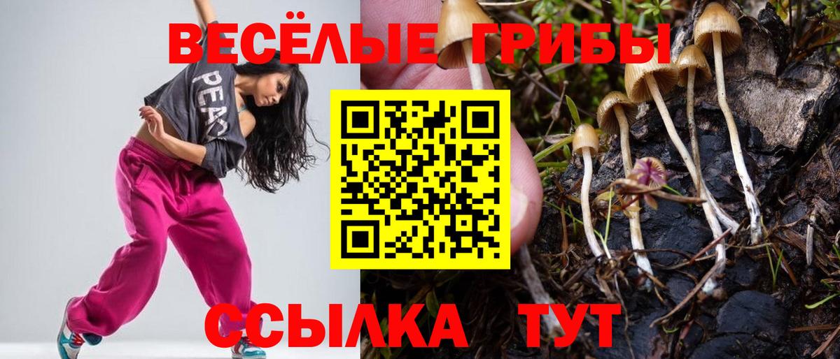 Псилоцибиновые грибы Cubensis Надым