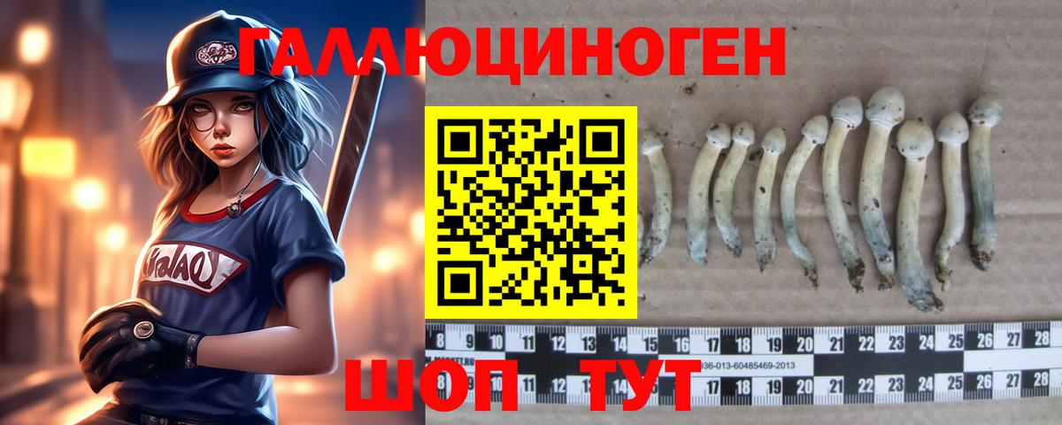 Надым  Галлюциногенные грибы мицелий  Вход с VPN 