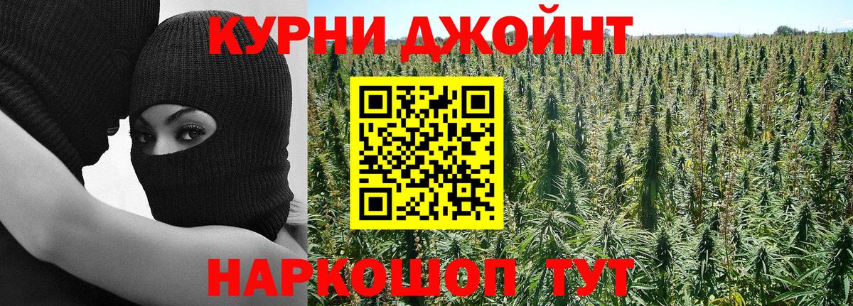 Бошки Шишки гибрид Надым